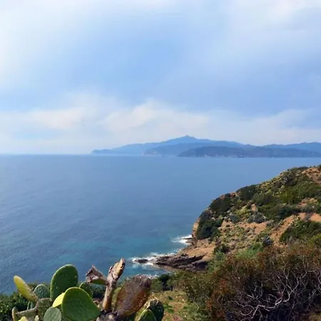 Erste By Agenzia Solturelba *